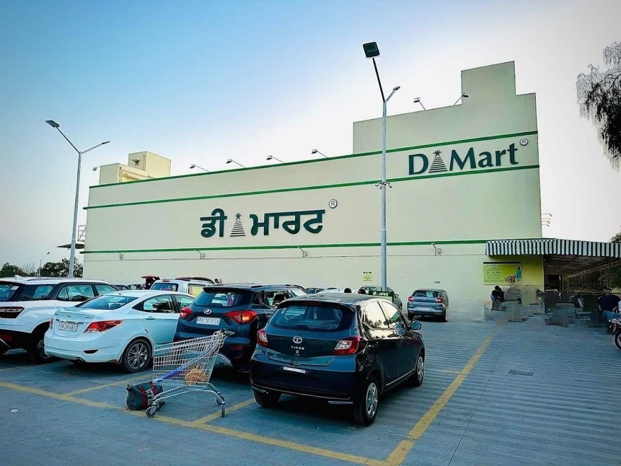 D-Mart Bathinda logo