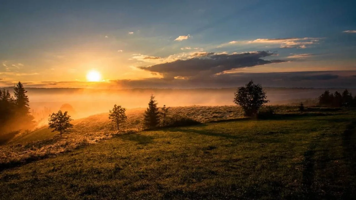 Start Your Day with These Good Morning Quotes in Hindi